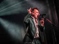 Daan-Arendonk-Danny Wagemans-19  Daan @ Arendonk