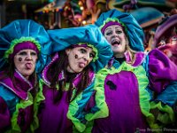 Carnaval Lokeren 2015-54  Lokeren Carnaval 2015