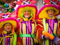 Lokeren Carnaval 2016  Lokeren Carnaval 2016