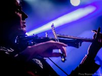 The Levellers @ Fonnefeesten 2015  The Levellers @ Fonnefeesten 2015