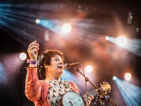 The Concrete Coconuts - Fonnefeesten 2016-10  The Concrete Coconuts @ Fonnefeesten 2016 : 2016, Lokeren, The Concrete Coconuts, fonnefeesten