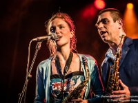 The Concrete Coconuts - Fonnefeesten 2016-21  The Concrete Coconuts @ Fonnefeesten 2016 : 2016, Lokeren, The Concrete Coconuts, fonnefeesten