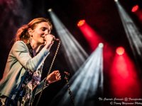 The Concrete Coconuts - Fonnefeesten 2016-22  The Concrete Coconuts @ Fonnefeesten 2016 : 2016, Lokeren, The Concrete Coconuts, fonnefeesten