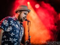 The Concrete Coconuts - Fonnefeesten 2016-3  The Concrete Coconuts @ Fonnefeesten 2016 : 2016, Lokeren, The Concrete Coconuts, fonnefeesten