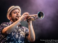 The Concrete Coconuts - Fonnefeesten 2016-4  The Concrete Coconuts @ Fonnefeesten 2016 : 2016, Lokeren, The Concrete Coconuts, fonnefeesten