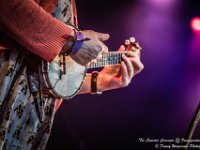 The Concrete Coconuts - Fonnefeesten 2016-9  The Concrete Coconuts @ Fonnefeesten 2016 : 2016, Lokeren, The Concrete Coconuts, fonnefeesten