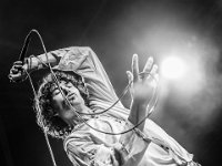 The Doors in Concert - Fonnefeesten 2016-16  The Doors in Concert @ Fonnefeesten 2016 : 2016, Lokeren, The Doors in concert, fonnefeesten