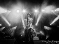 The Doors in Concert - Fonnefeesten 2016-31  The Doors in Concert @ Fonnefeesten 2016 : 2016, Lokeren, The Doors in concert, fonnefeesten