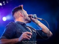 Boogie Beasts - Fonnefeesten 2017 - Danny Wagemans-21  Boogie Beasts @ Fonnefeesten 2017