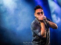 Boogie Beasts - Fonnefeesten 2017 - Danny Wagemans-8  Boogie Beasts @ Fonnefeesten 2017