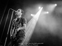 Janez Detd- Fonnefeesten 2017 - Danny Wagemans-14  Janez Detd Punk Rock High School @ Fonnefeesten 2017