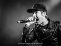 Janez Detd- Fonnefeesten 2017 - Danny Wagemans-3  Janez Detd Punk Rock High School @ Fonnefeesten 2017