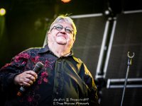 Luc Caals - Fonnefeesten 2017 - Danny Wagemans-16  Luc Caals @ Fonnefeesten 2017