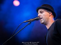 Zebras are timeless - Fonnefeesten 2017 - Danny Wagemans-5  Zebras are timeless@ Fonnefeesten 2017