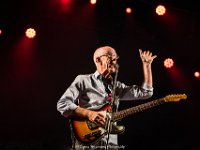 Raymond van het Groenewoud @ Fonnefeesten 2018  Raymond van het Groenewoud @ Fonnefeesten