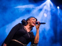 Zap Mama @ Fonnefeesten  Zap Mama @ Fonnefeesten