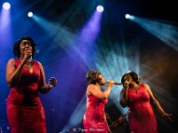 Motown Suppremacy @ Fonnefeesten 2019  Motown Suppremacy @ Fonnefeesten 2019