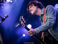 The Calicos @ Fonnefeesten 2019  The Calicos @ Fonnefeesten 2019