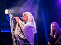 Abba Gold-Fonnefeesten 2023-Danny Wagemans-9  Abba Gold @ Fonnefeesten