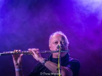 Skyblasters-Fonnefeesten 2023-Danny Wagemans-3  Skyblasters  @ Fonnefeesten