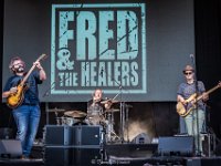 Fred and the Healers-Fonnefeesten 2024-Danny Wagemans-2