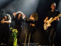 Laura Tesoro - Papillio Special Event 2018 - Danny Wagemans-22  Laura Tesoro - Papillio Special Event 2018 : 2018, Laura Tesoro, Papillio, Special Event, TTT-Artists, Waregem