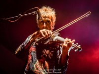 The Levellers - Villa Pace 2017 - Danny Wagemans-5  The Levellers @ Villa Pace 2017