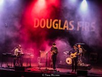 Douglas Firs @ Villa Pace 2019  Douglas Firs @ Villa Pace 2019