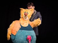 Theater Tieret @ Villa Pace 2019  Meneer Beer en de Woeste Wolven @ Villa Pace 2019