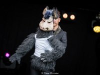 Theater Tieret @ Villa Pace 2019  Meneer Beer en de Woeste Wolven @ Villa Pace 2019