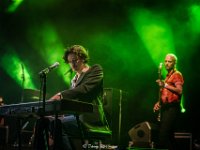 The Calicos @ Villa Pace 2019  The Calicos @ Villa Pace 2019