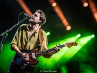 The Calicos @ Villa Pace 2019  The Calicos @ Villa Pace 2019