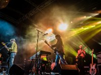 The Calicos @ Villa Pace 2019  The Calicos @ Villa Pace 2019